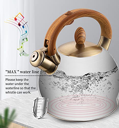 Whistling Tea Kettle Stovetop (Black / 2.6 Quarts)