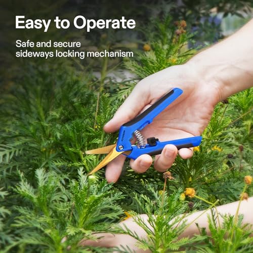 6.5 Inch Garden Scissors (Blue Curved Blade / Blue)