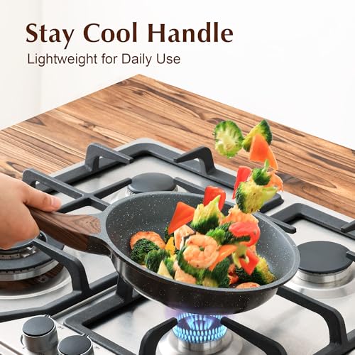 9.5inch Nonstick Frying Pan Chef's Pan with Glass Lid
