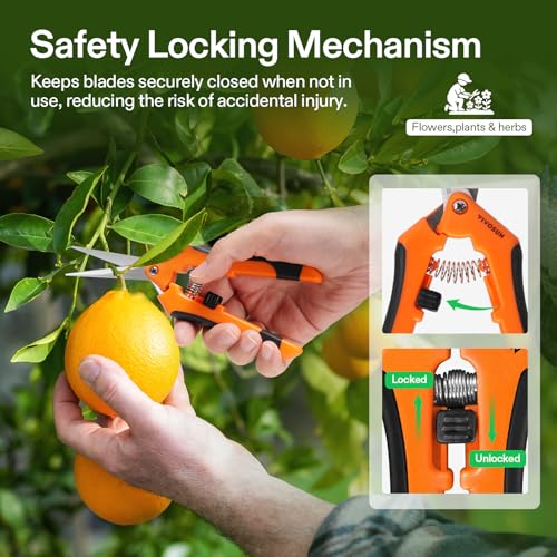 6.5 Inch Garden Scissors (Orange Straight Blade / Orange)