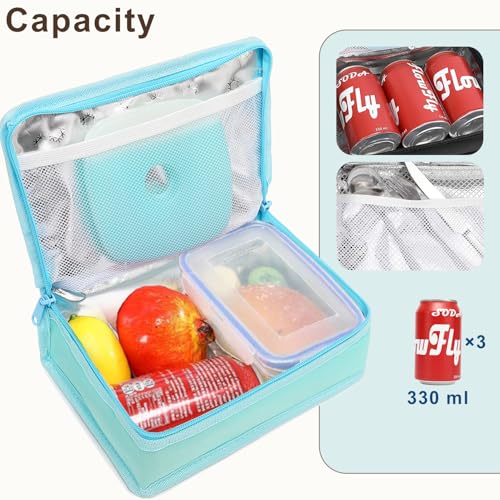 Small Insulated Lunch box Portable Soft Bag Mini Cooler Thermal Meal Tote Kit with Handle for Work & School