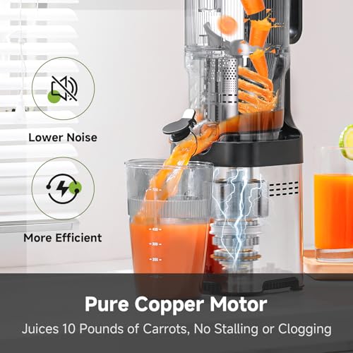 Cold Press Juicer (Silver / 5.4-inch)