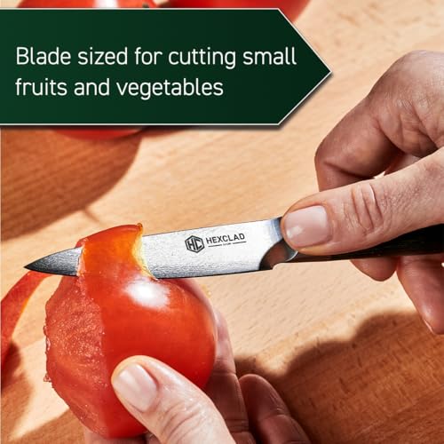 3.5" Japanese Damascus Stainless Steel Paring Knife