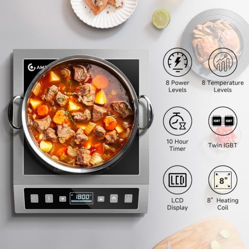 Portable Induction Cooktop 1800W Commercial Burner Stainless Steel (Stainless Steel)