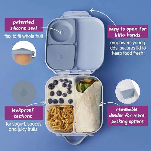 Mini Lunch Box