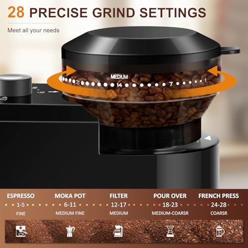 Electric Burr Coffee Grinder (Black+Gray)