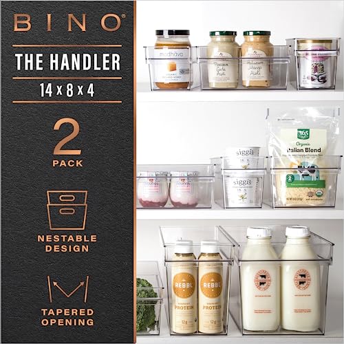 Plastic Storage Bins (2PK LARGE - 14 x 8 x 4)