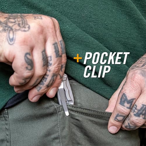 Gear Paraframe Mini Pocket Knife (2.2" / Paraframe Mini (Fine Edge))
