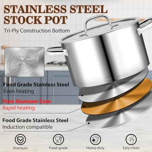 Stainless Steel Stock Pot (6 Quarts)