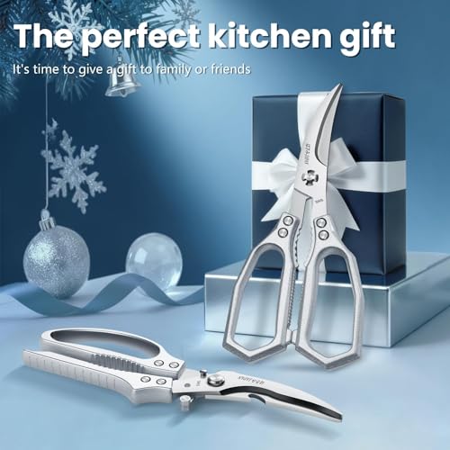 Silver Kitchen Scissors Set (Silver / 2)