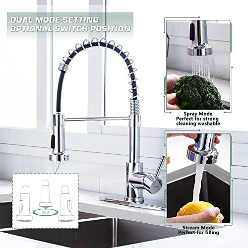 Pull Down Kitchen Faucet (Polished Chrome)