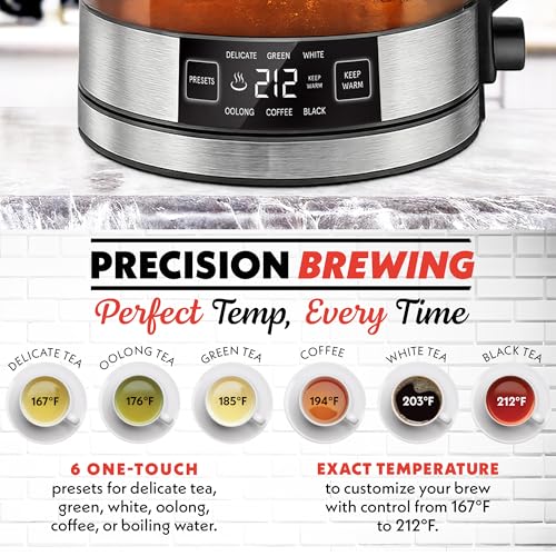 Electric Glass Kettle