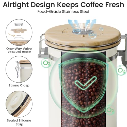 Coffee Canister with Window (Cream / 22 oz)
