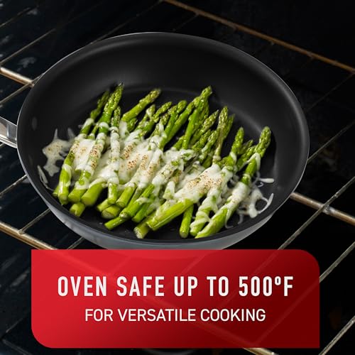 Platinum Nonstick Jumbo Cooker 5 Quart Induction Oven Broiler Safe 500F Cookware (Platinum Nonstick)