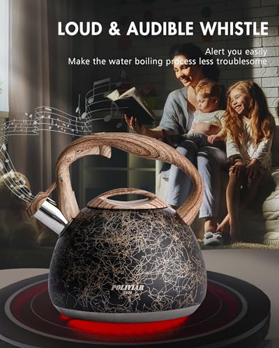 POLIVIAR Tea Kettle (2.7 Quarts / Black/Gold)