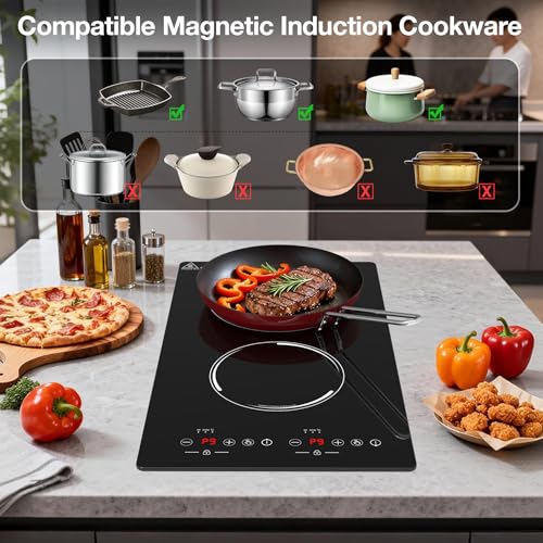 Double Induction Cooktop (12 Inch Black)