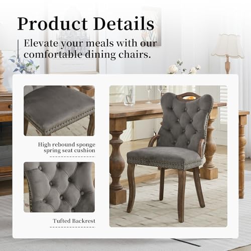 Grey Velvet Upholstered Dining Chairs Set of 2 (Gray 2)