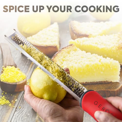 Stainless Steel Cheese Grater & Lemon Zester w