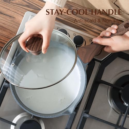 3 Quarts Nonstick Saucepan with Double Pouring Spout (Gray Granite / 3 Quarts)