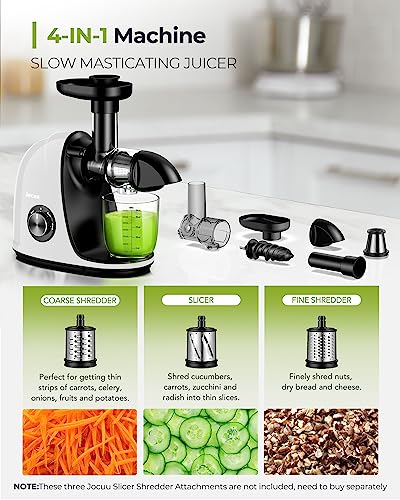 Slow Masticating Juicer with 2
