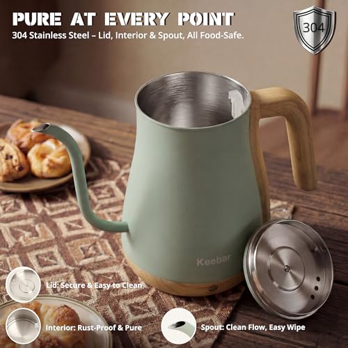 Gooseneck Electric Kettle (Light Green / 0.8 Quarts)