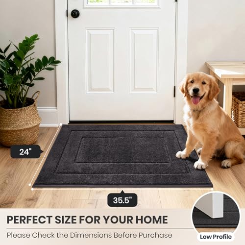 Dirt Trapping Door Mat Indoor Entrance