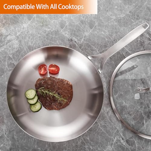 Tri Ply Stainless Steel Frying Pan 12" With Lid Kitchen Skillet (Silver)