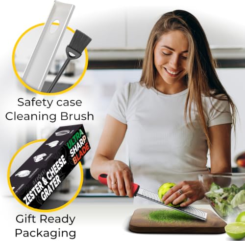 Stainless Steel Cheese Grater & Lemon Zester w
