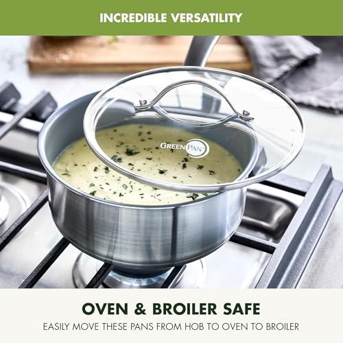 Stainless Steel Treviso 2.1QT Saucepan with Lid