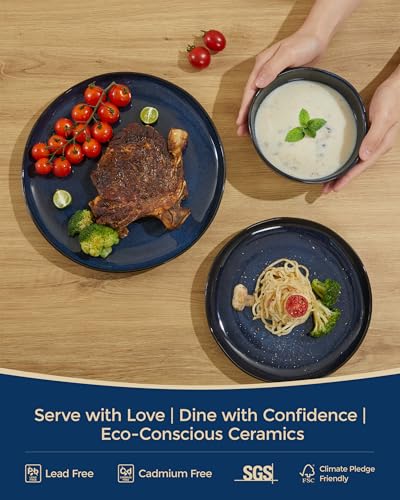 Stoneware Dinnerware Sets for 8 (Starry Blue / Set (24pcs))