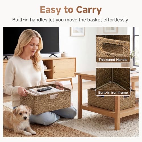 Extra Large Wicker Baskets for Organizing (Brown (Seagrass) / 16½"L x 13"W x 7½"H)
