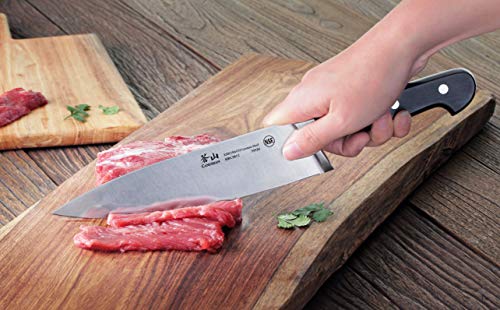 V2 Series 1022520 German Steel Forged 5 (5-Piece Knife Block Set)