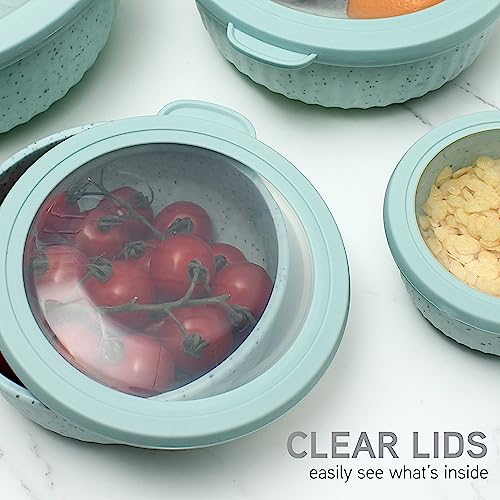 Prep Bowls with Lids