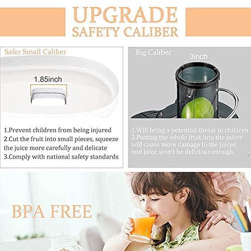 Slow Masticating Juicer