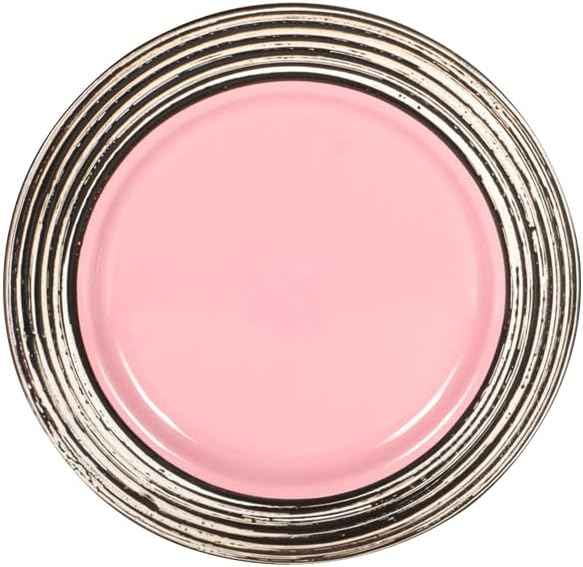 16 Piece Dinnerware Set, Ceramic Plates and Bowls Sets for 4, Microwave and Dishwasher Safe, Handcrafted Tree Bark Series Dish Set, Rose/Pink