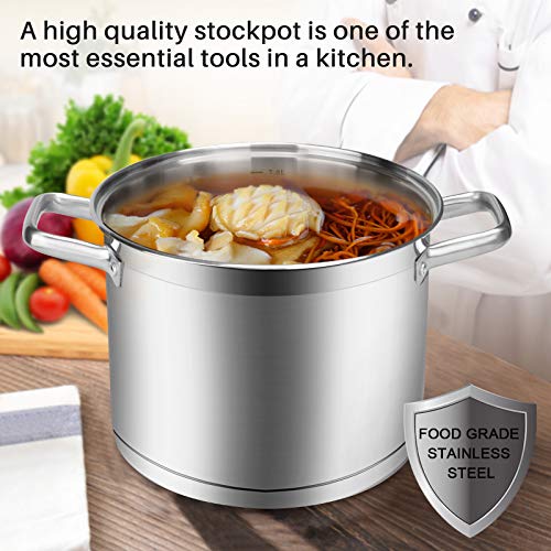 Stainless Steel Stock Pot with Lid (9.1 Quarts)