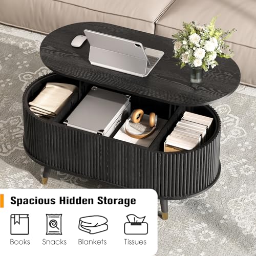 Oval Lift Top Coffee Table with Storage for Living Room (Matte Black)