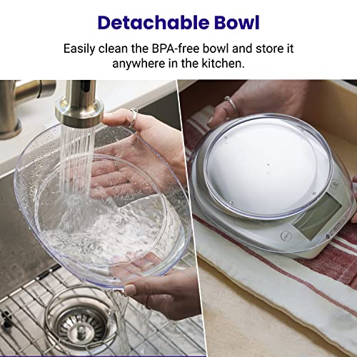 0.1g Food Kitchen Scale (Arctic Sliver / 11lb / 11lb)