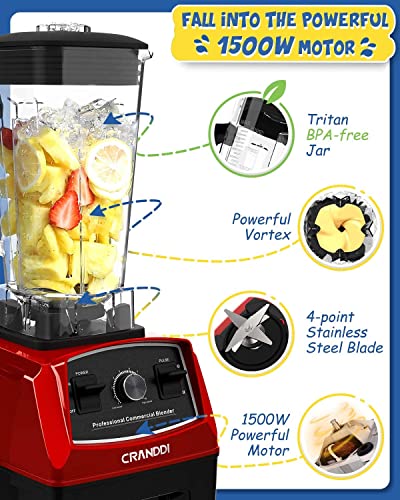 Professional Blender