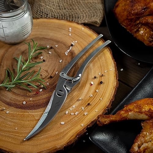 All Purpose Kitchen Scissors (9.5-Inch)