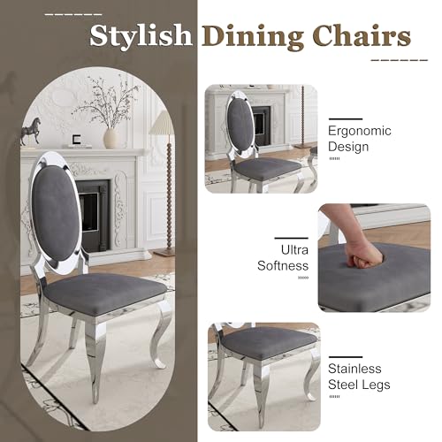 Modern Dining Chairs Set of 2 (Grey/Silver / Set of 2)