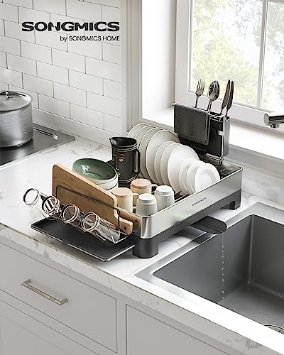 Dish Drying Rack (Silver + Black / 12.5"D x 22.5"W x 9.7"H)