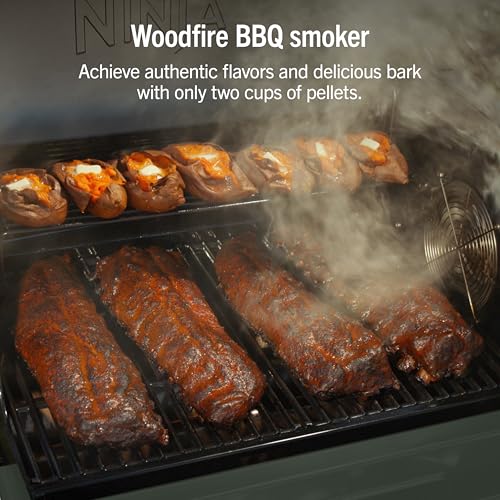 FlexFlame Grill & Smoker (Green)