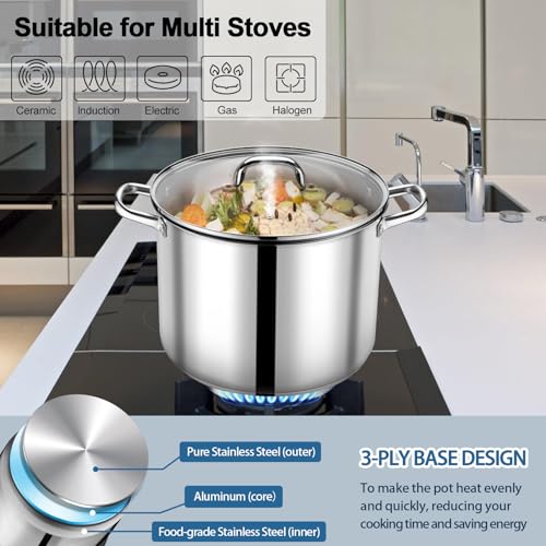 16 QT Stainless Steel Stock Pot with Lid (16 Quarts)