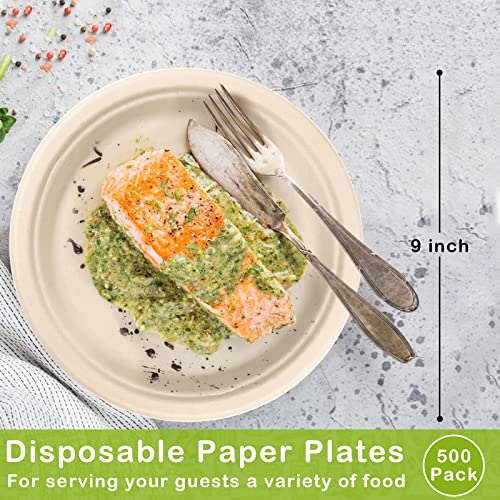 500 Pack Compostable Paper Plates 9 inch (9 inch 500 pack)