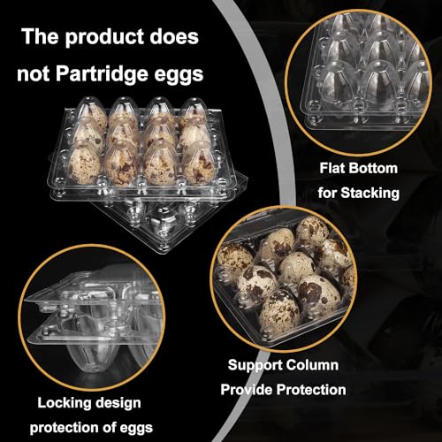 200 Pack Quail Egg Cartons (200 Count)