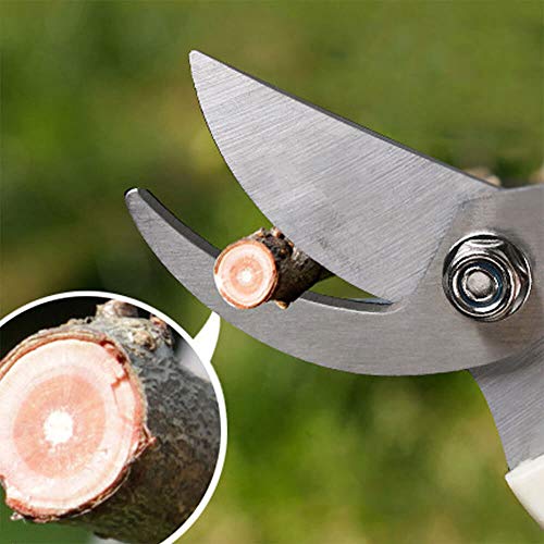 Garden Shears Set of 2 (Straight+Bypass)