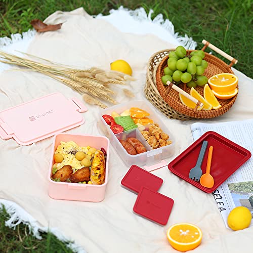 Stackable 2 Tier Adult Bento Box