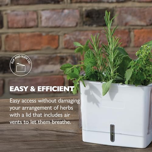Fresh Herb Keeper (Fresh Herb Keeper)