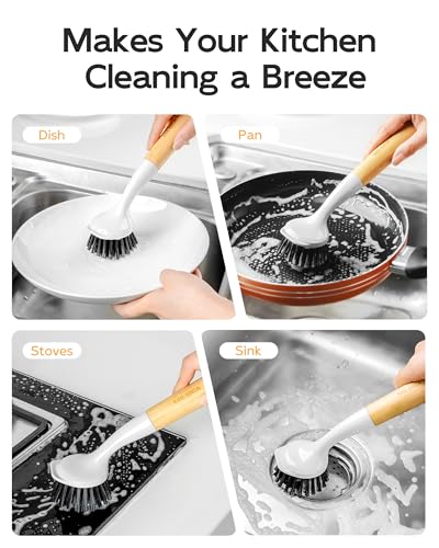 Dish Brush with Handle (2 Count)